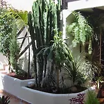Апартаменты Aptos Monasterio De San Antonio 6 *