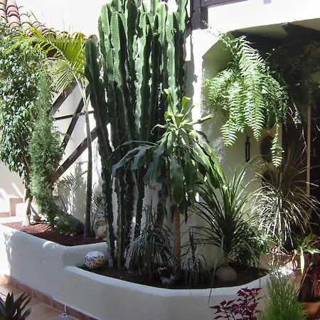 Apartment Aptos Monasterio De San Antonio 6 Icod De Los Vinos