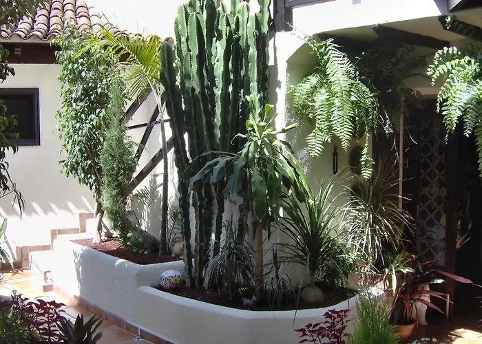 דירה Aptos Monasterio De San Antonio 6 איקוד דה לוס וינוס