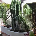 דירה Aptos Monasterio De San Antonio 6 איקוד דה לוס וינוס